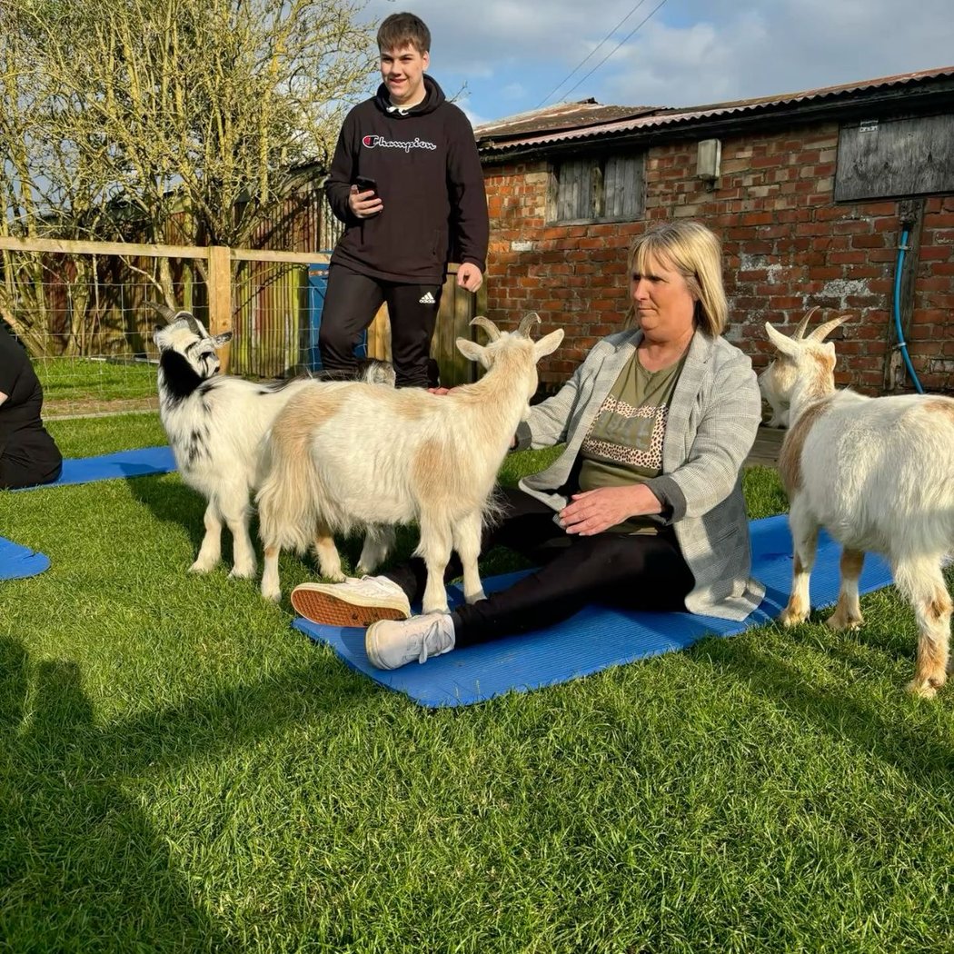Baby Goat Yoga With Bottle Feeding and Snuggle Time 1